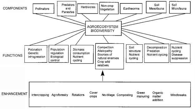 Agroecosystem