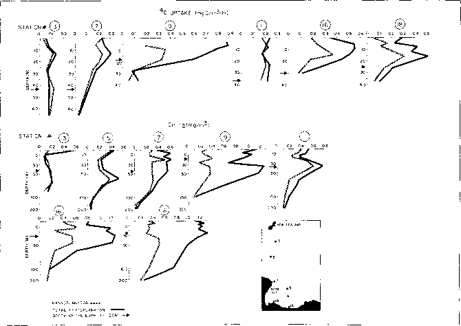 降水的透光区