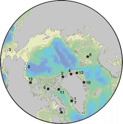 幻想世界地图