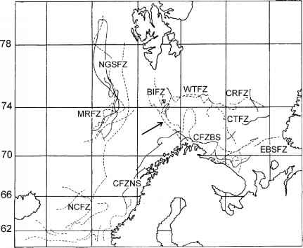 额叶区