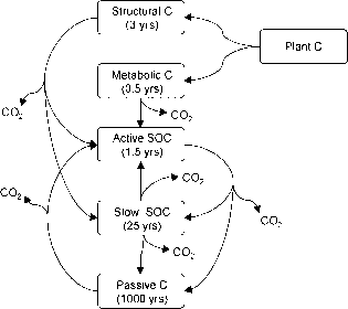 世纪生物地球化学模型