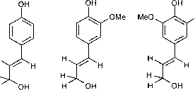 木材加氢过程