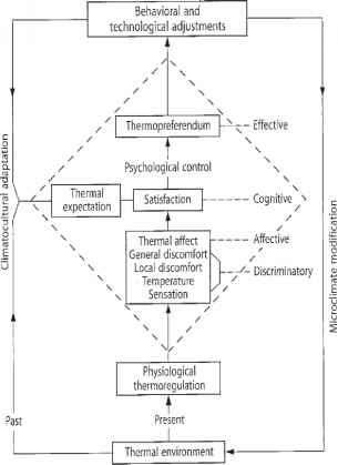 Erp模式以撒是Cbt