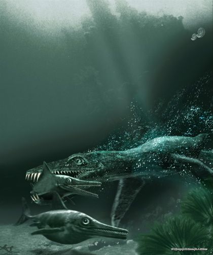 pliosaurus-3-uaf.jpg