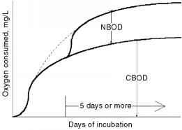 Carboneus Bod含氮的Bod