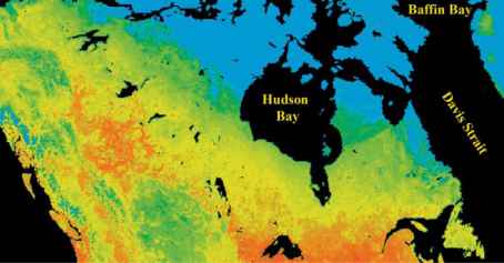 Ecology Setting Limits