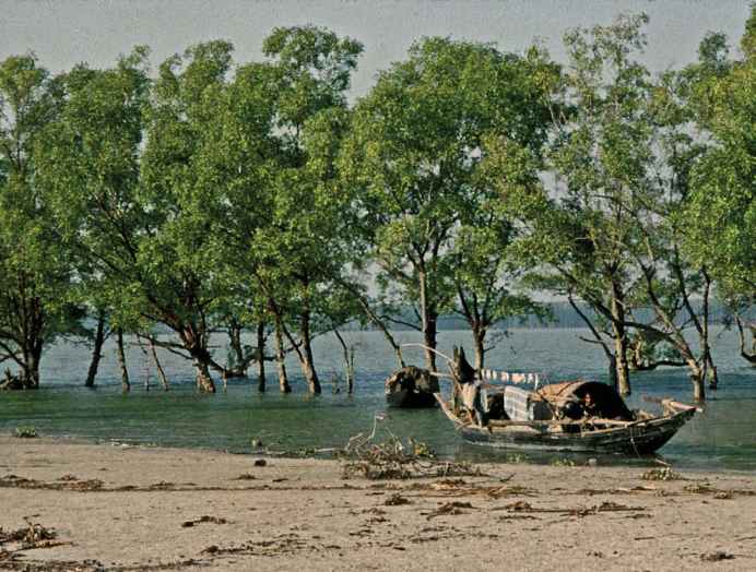 孟加拉海湾环境