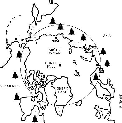 北极苔原地图