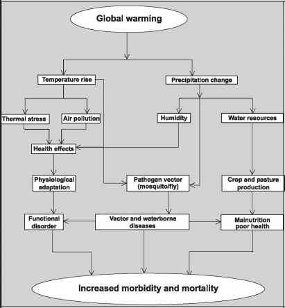 Circular Flow Map For Climate Change