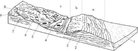 Myllokunmingia