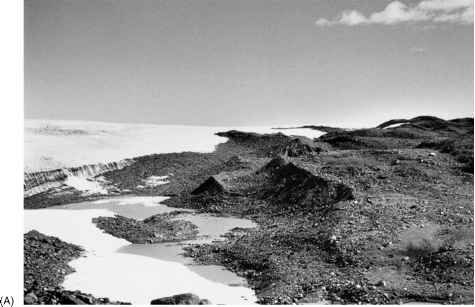 冰原岛峰土地形式Glaciears