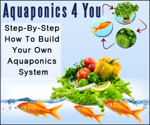 Aquaponics 4 You