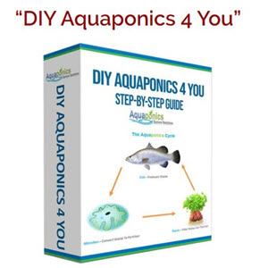 DIY Aquaponics”很容易