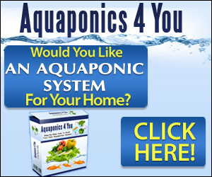 Aquaponics”你”>
              <div class=