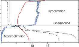 Chemocline