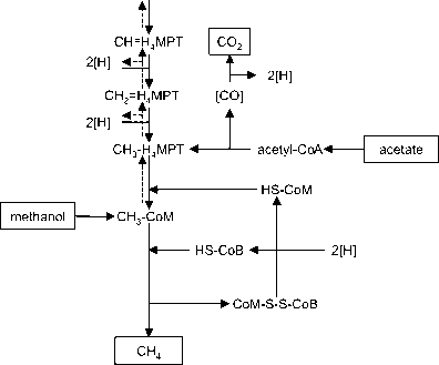 甲酸甲烷生成