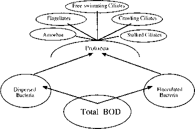 例如化学需氧量