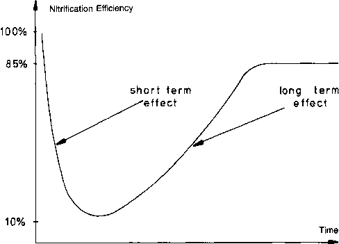 硝化作用