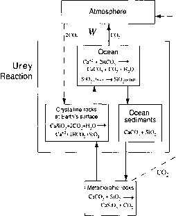 风化水槽二氧化碳