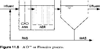 五阶段巴登佛过程