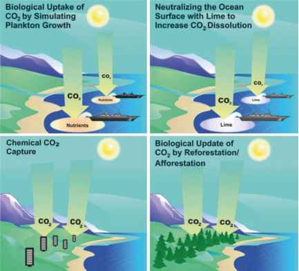 Co2通量海洋大气