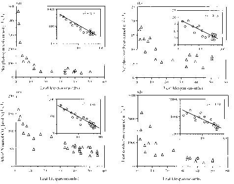 Triaxial Accelerometer Siganl Waveform