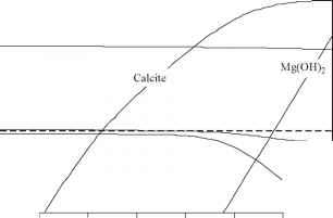 可以Caso4规模