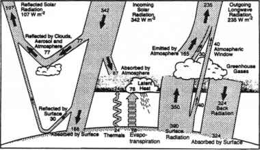 基尔,Trenberth 1997年著名的图