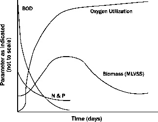 生化需氧量氨氧反应