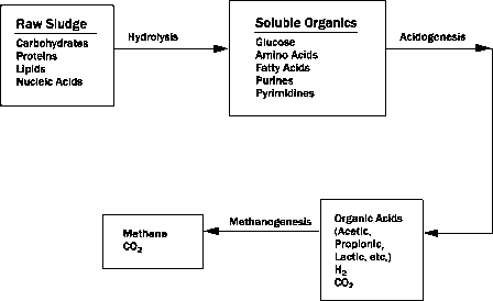 厌氧消化的化学反应