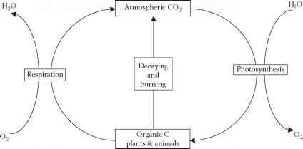 结合生物地球化学循环