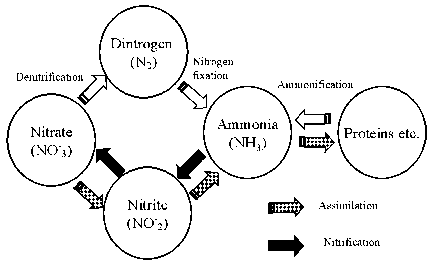 Elutriator Diagramm