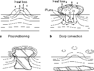 深对流